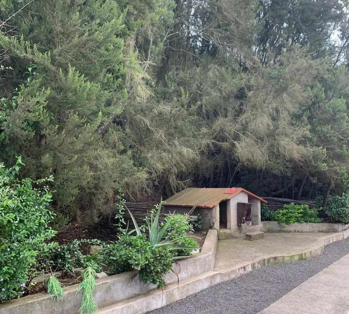 Апартаменты Retiro En La Naturaleza - Desconexion Y Relax Санта-Крус-де-Тенерифе