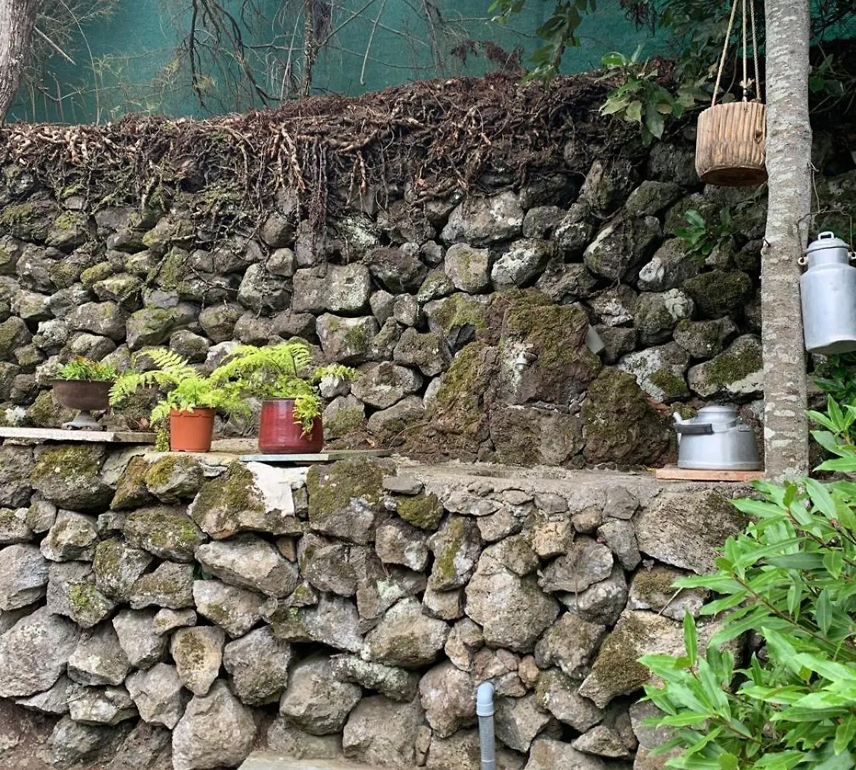 Retiro En La Naturaleza - Desconexion Y Relax Santa Cruz de Tenerife Appartement